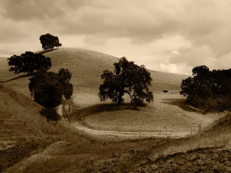 contact screenshot 1