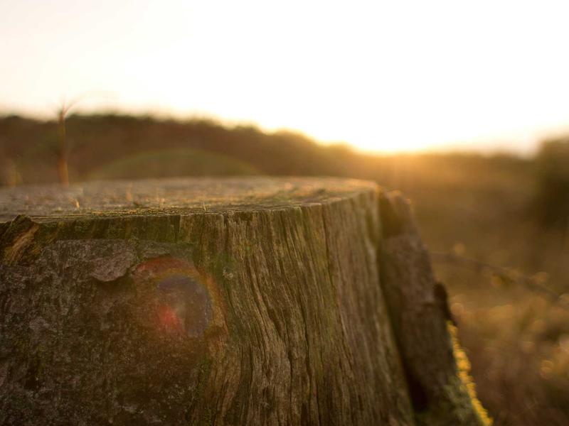 sudoku symmetric puzzle screenshot 3